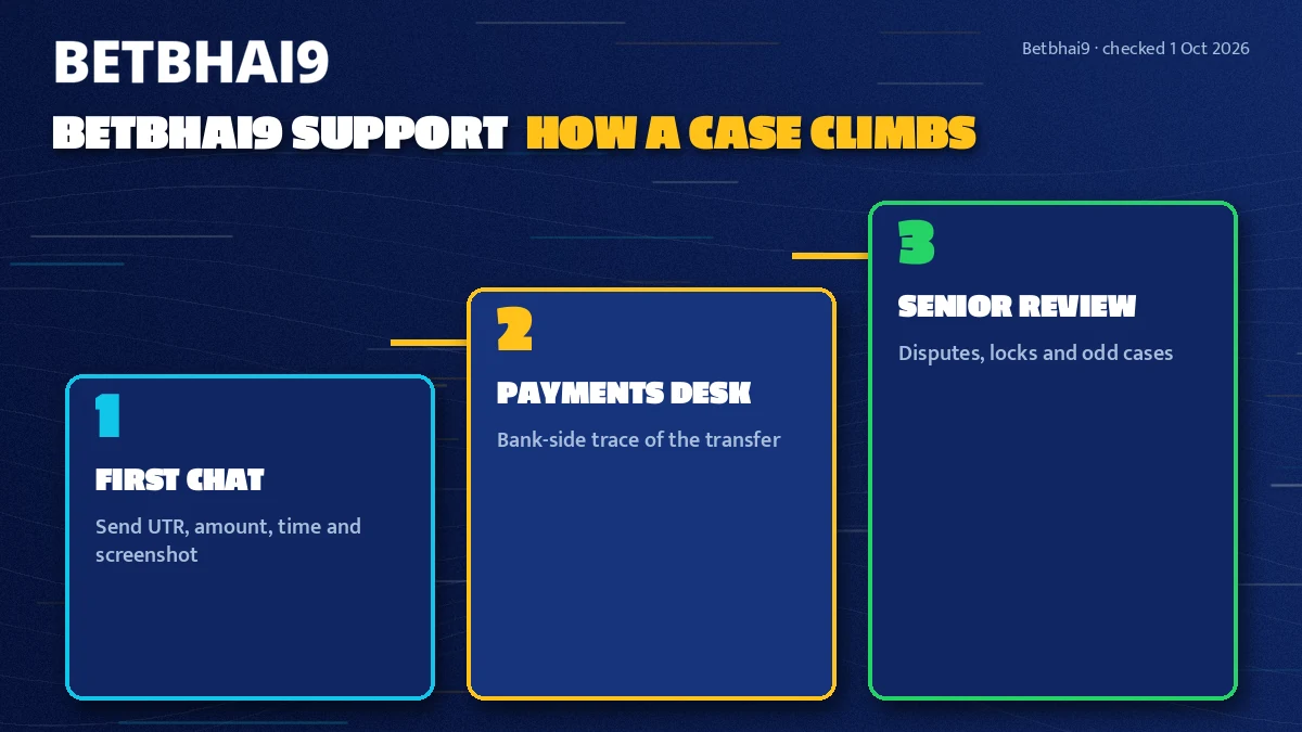 Three rising steps showing how a Betbhai9 payment case moves from first chat to senior review